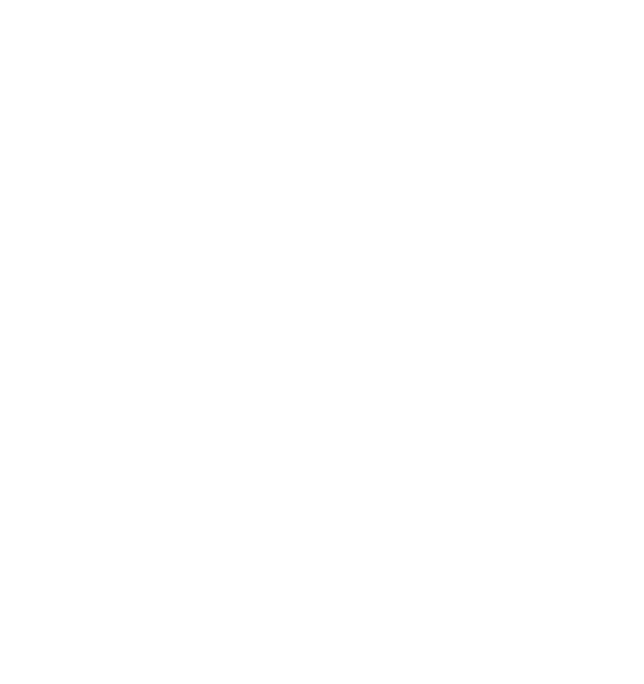 UNITED RICH FOUNDATION