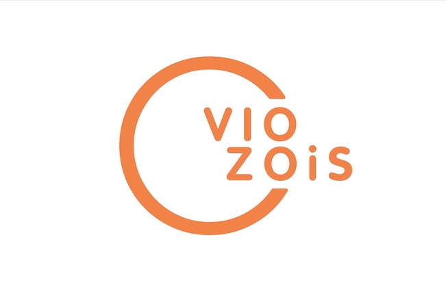 VIZOIS S.A.