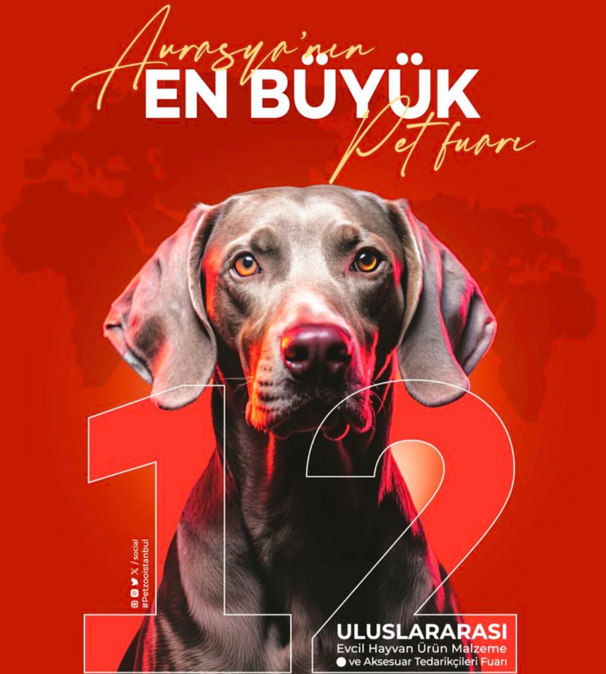 TEST FİRMA A.Ş.