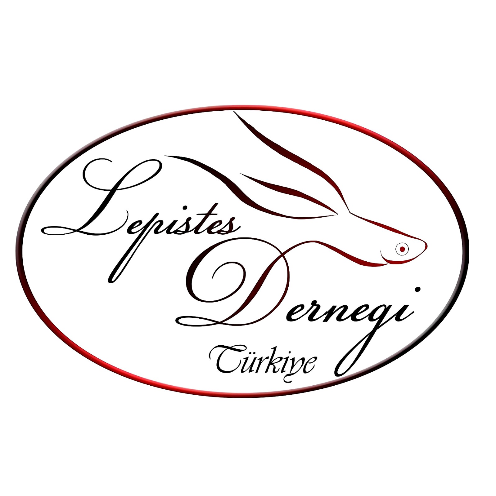 LEPİSTES DERNEĞİ TÜRKİYE