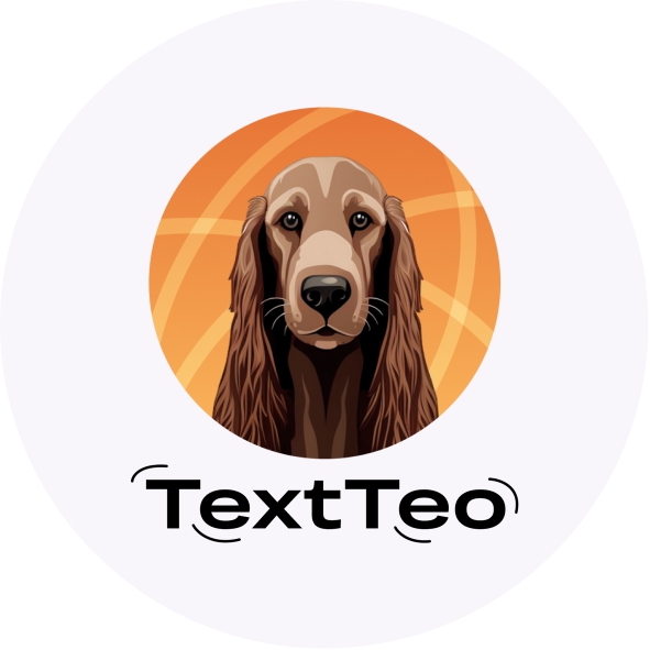 TEXT TEO