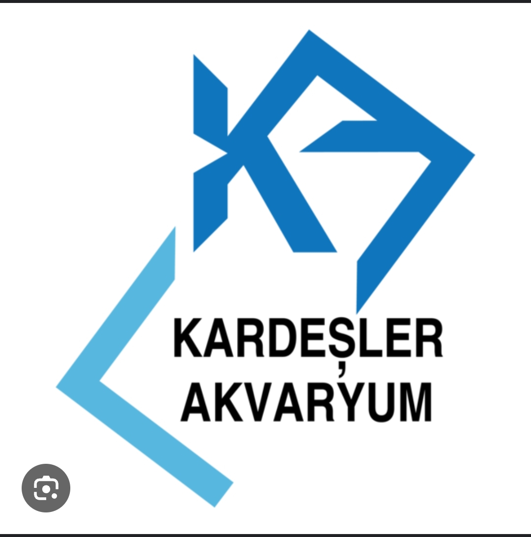 KARDEŞLER AKAVRYUM-NERGÜL VURAL