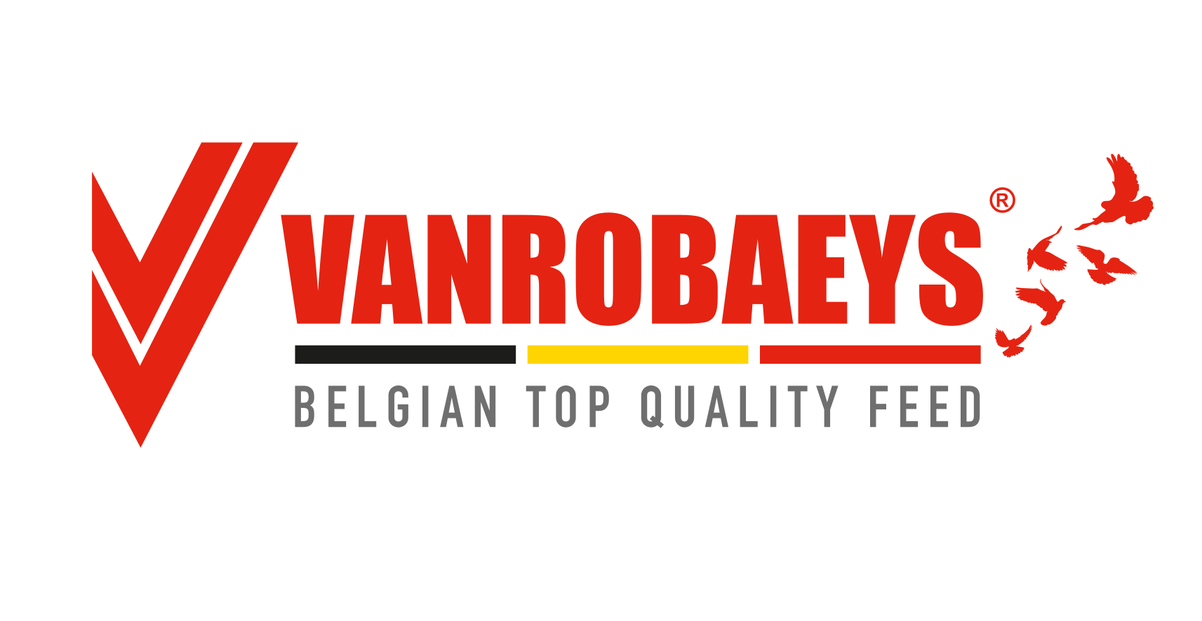 VANROBAEYS GRANEN & ZADEN NV